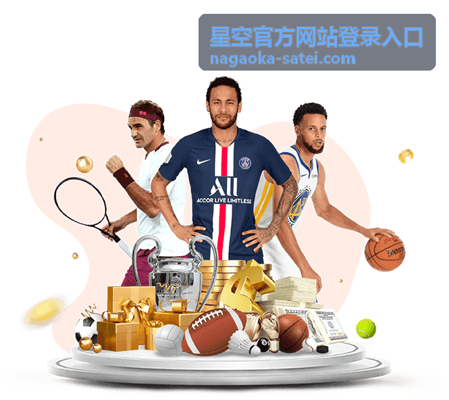 星空官方网站登录入口的账号通行界面示意